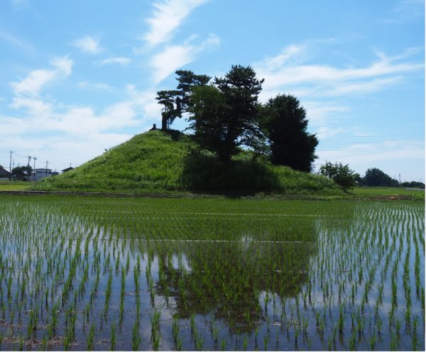 軍配山と水田風景