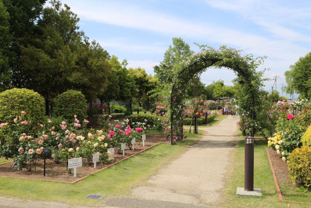 玉村町北部公園の様子