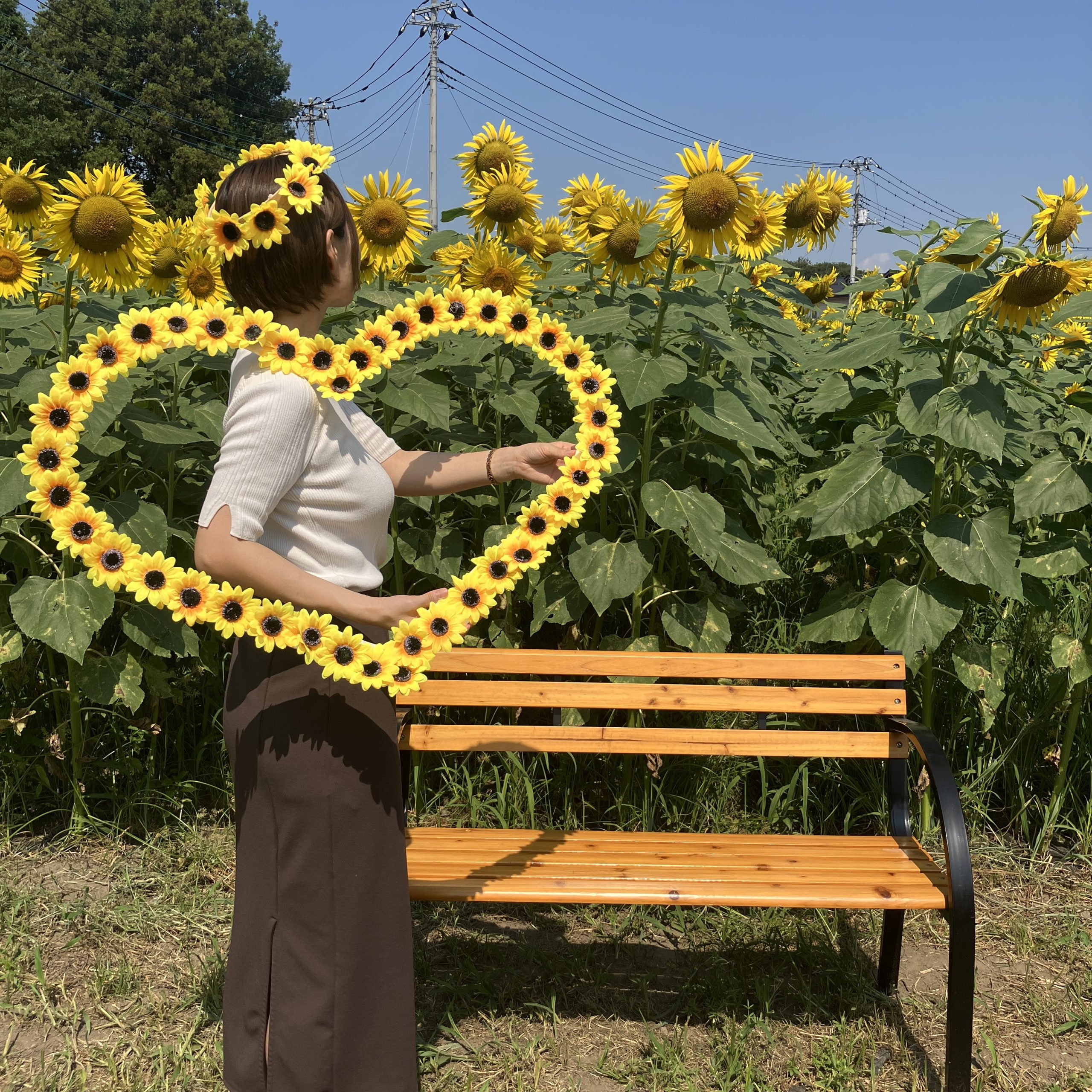 終了】玉村町に今年もひまわり畑が登場するよ🌻 - 玉村町魅力発信機構
